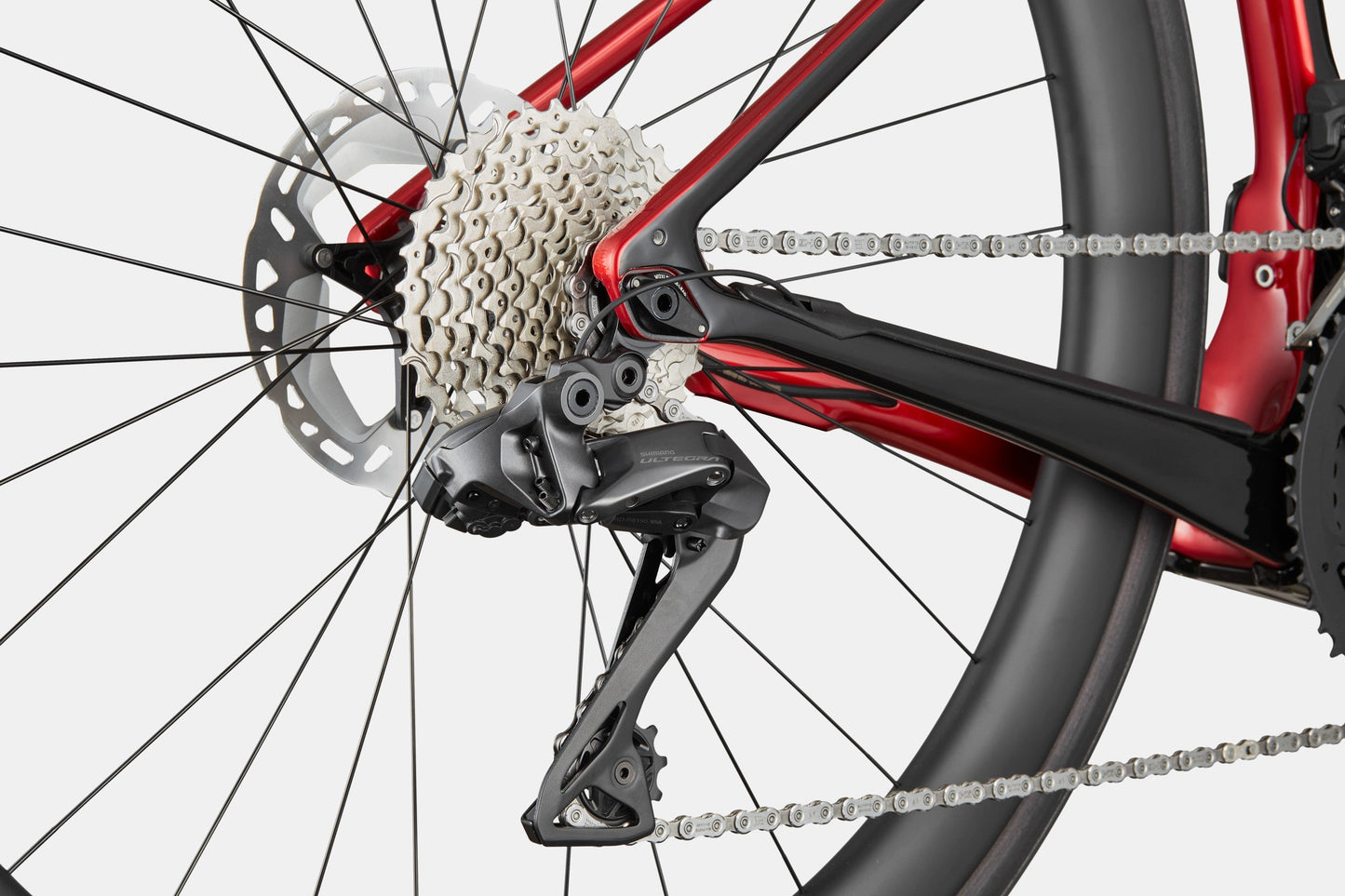 Synapse Neo