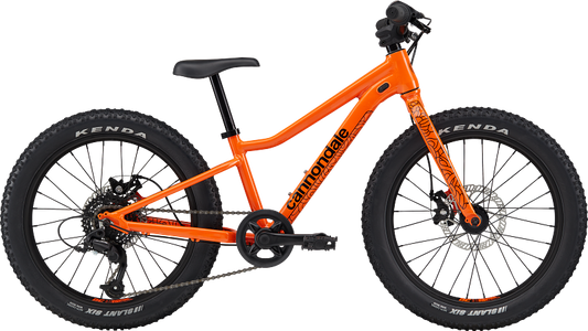 Trail Plus 20