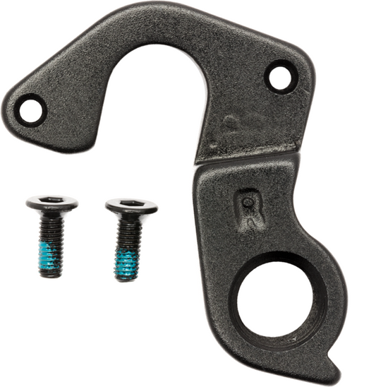 Road QR ST SS 027 Derailleur Hanger