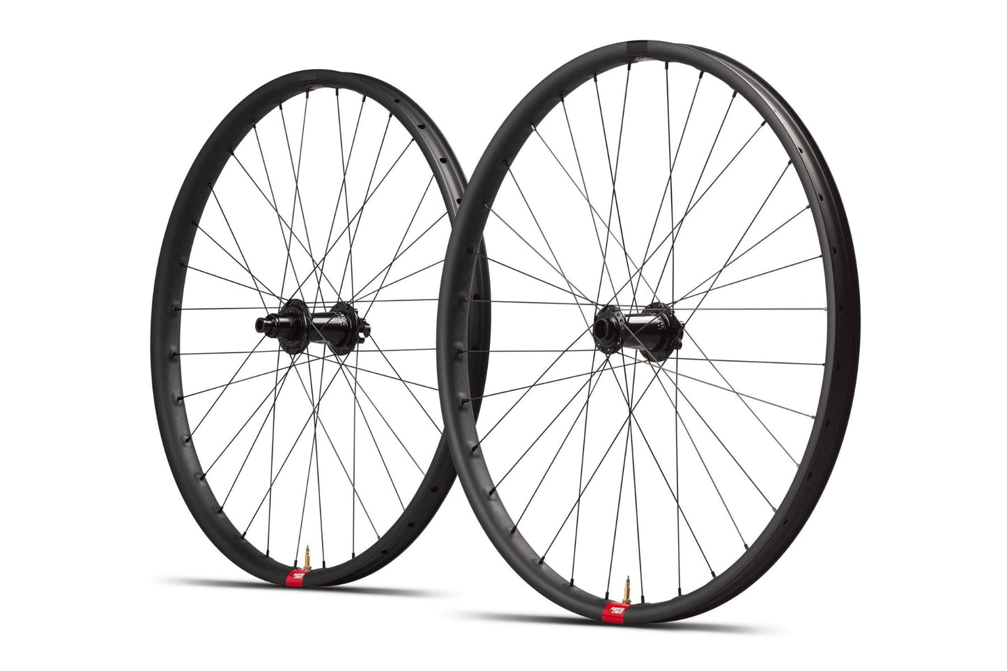 31 DH Wheelset (Microspline)