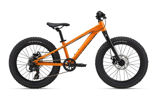 STP 20