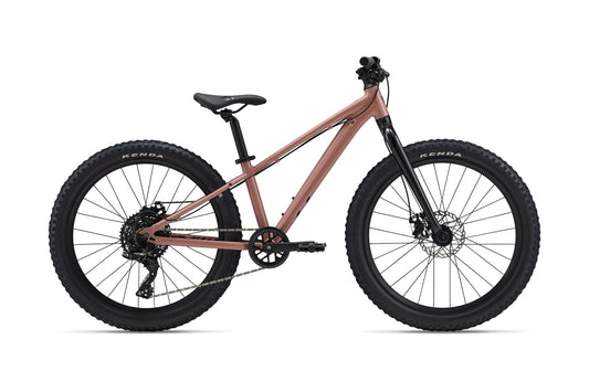 STP 24