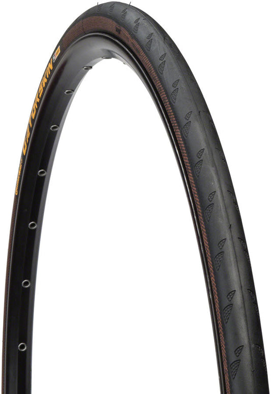 Gatorskin Tire (Wire)